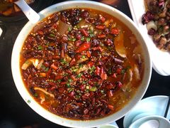 -陈麻婆豆腐总店