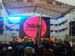 -武清南湖绿博园