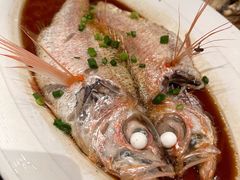 红果鲤-高佳庄·舟山海鲜(海景旗舰店)