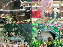 -灵玲国际马戏城