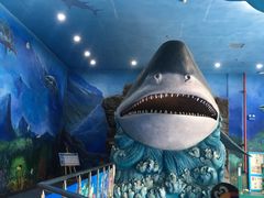 -多彩贵州城极地海洋世界