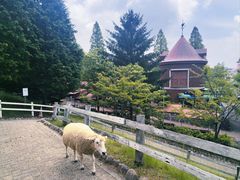 -神户市立六甲山牧场