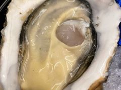 -普朗姆生蚝牛排馆 The Plump Oyster(成都摩方购物中心店)