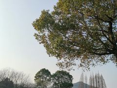 -上海月湖雕塑公园