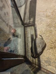 -酷嗒动物文化乐园(cutezoo西溪乐天城店)