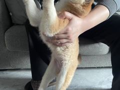 -美联众合24小时·皮肤科·外科·全科诊疗中心(华苑分院)