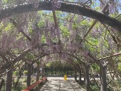 -红螺寺