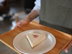 樱花芝士冻-MAISON门前杂货店
