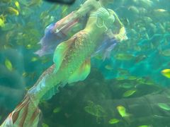 -苏州海洋馆