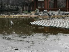 -木塔寺遗址生态公园