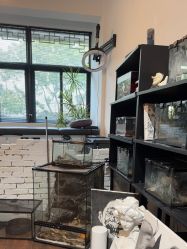 -HEY!TATTOO·嘿刺青