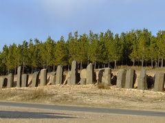 -塞罕坝国家级自然保护区