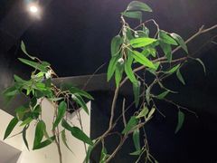 -春天来了(印象新天地店)