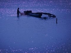-尼甘布海鲜市场