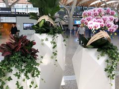 -上海浦东国际机场-T2航站楼