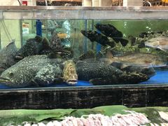 水产区-东江海鲜酒家(艺都分店)