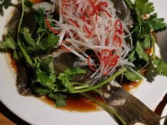 清蒸特色多宝鱼-晃晃悠悠酒肉合作社