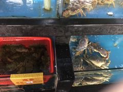 -马王堆海鲜水产市场