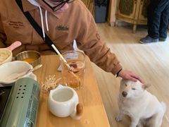 -柴の食堂·日式家庭料理·熊之肆(大学路店)