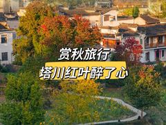 -塔川景区