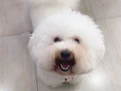 -佳雯宠物医院(四明中路分院)