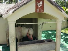 -三亚亚龙湾天域度假酒店