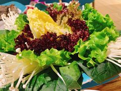 -青瓷火锅料理(西单大悦城店)