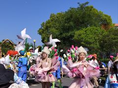 -荷兰花海