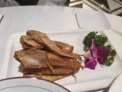 -老人和饭店(淮海中路店)