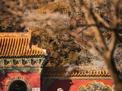 -沈阳市东陵公园