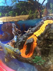 -KIDSLAND(北京蓝色港湾店)