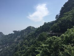 -少华山国家森林公园