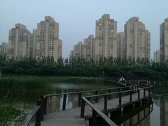 -前关湿地公园