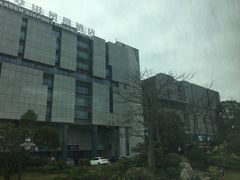 -碧桂园空港凤凰酒店(广州新白云机场店)