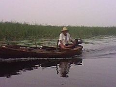 -白洋淀景区