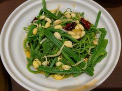南瓜藤-湖北三五醇酒店·35年新楚菜
