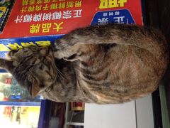 夜烤宜宾烧烤-夜烤·宜宾烧烤(洋河路店)