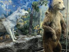 -国家自然博物馆