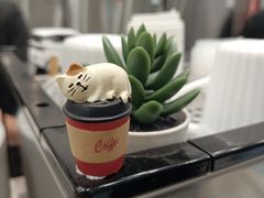 -缶乐FOLLOW咖啡