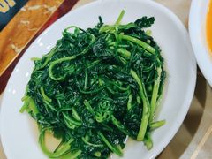 炒茼蒿-红灯笼龙凤饭店(宁波老字号店)