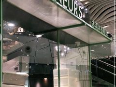 -LUNEURS月乐诗 冰淇淋咖啡(环贸店)
