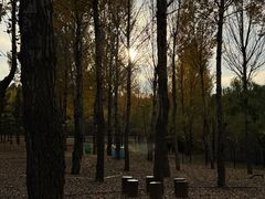 -鄂尔多斯野生动物园