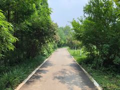 -桤木河湿地公园