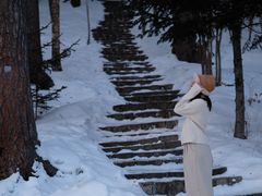 -五营红松林海景区