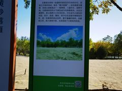 -东郊湿地公园
