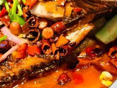 -陈帅夜排档·龙虾·炒菜·烤串(世茂店)