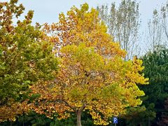 -山东大学(威海校区)