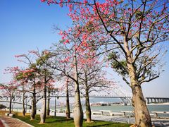-芒洲湿地公园