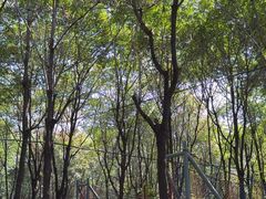 -草根堂农场