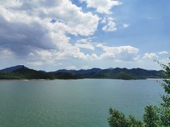 -望湖烤鱼